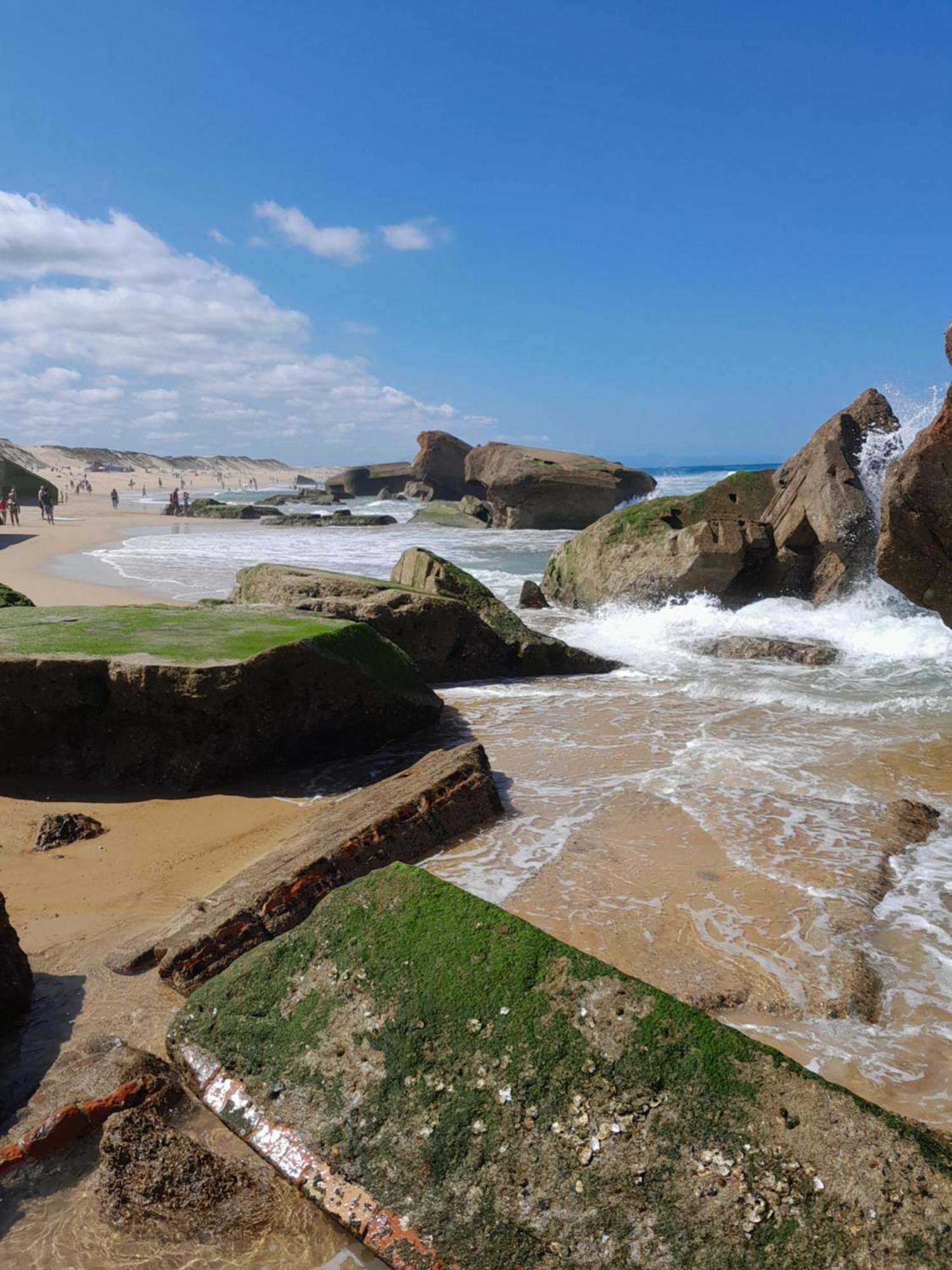 Joli 2 Pieces Sur Le Port Avec Piscine, Terrasse, Parking Daire Capbreton Dış mekan fotoğraf