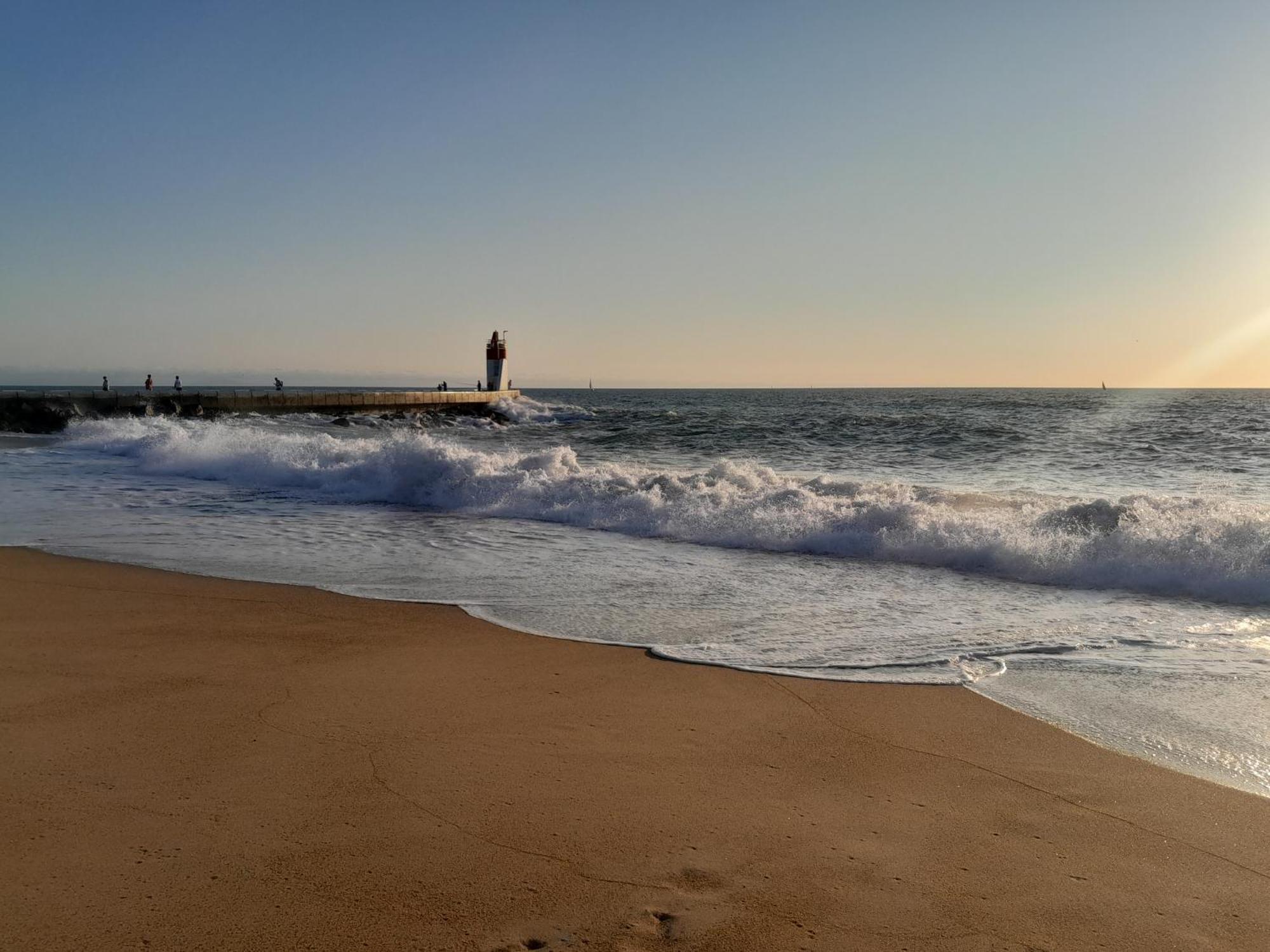 Joli 2 Pieces Sur Le Port Avec Piscine, Terrasse, Parking Daire Capbreton Dış mekan fotoğraf